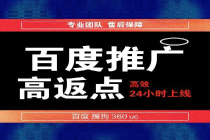 搜索引擎营销（SEM）在移动端的推广案例